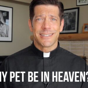 Will My Pet Be in Heaven?
