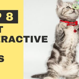Top 8 Best Interactive Cat Toys – Which One Is Best for Your Little Furball?