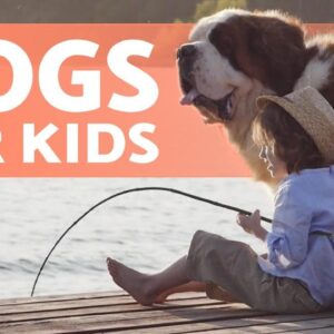 10 Best DOGS for CHILDREN 🐶👧🏼 Kid-Friendly Breeds