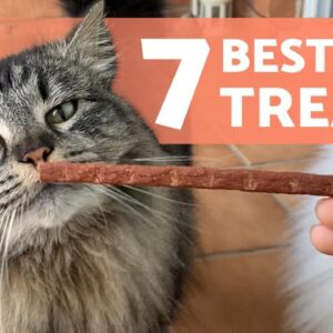 7 TREATS for CATS ðŸ˜»ðŸŒ¿ How to Reward Your Feline