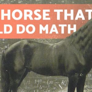(CLEVER HANS) ­Ъљ┤РъЋ The HORSE That Learned MATHEMATICS