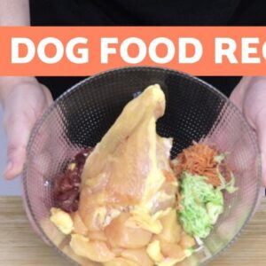 How to Make BARF Dog Food RECIPES