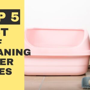 Top 5 Best Self Cleaning Litter Boxes - The 5 Best Automatic Litter Boxes of 2022