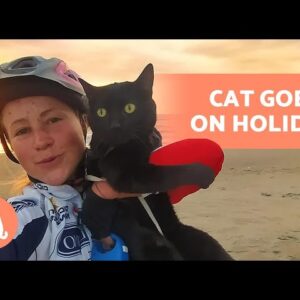 This CAT LOVES TO TRAVEL Around ITALY ðŸ�±ðŸŒ�