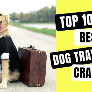 Top 10 Best Dog Travel Crates - That Are Ready to Go When You Are